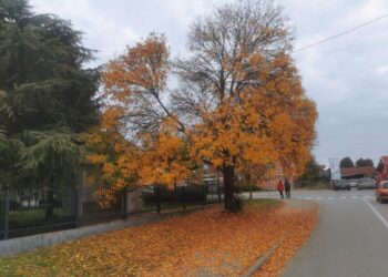 Sutra sunčano uz malu do umjerenu oblačnost